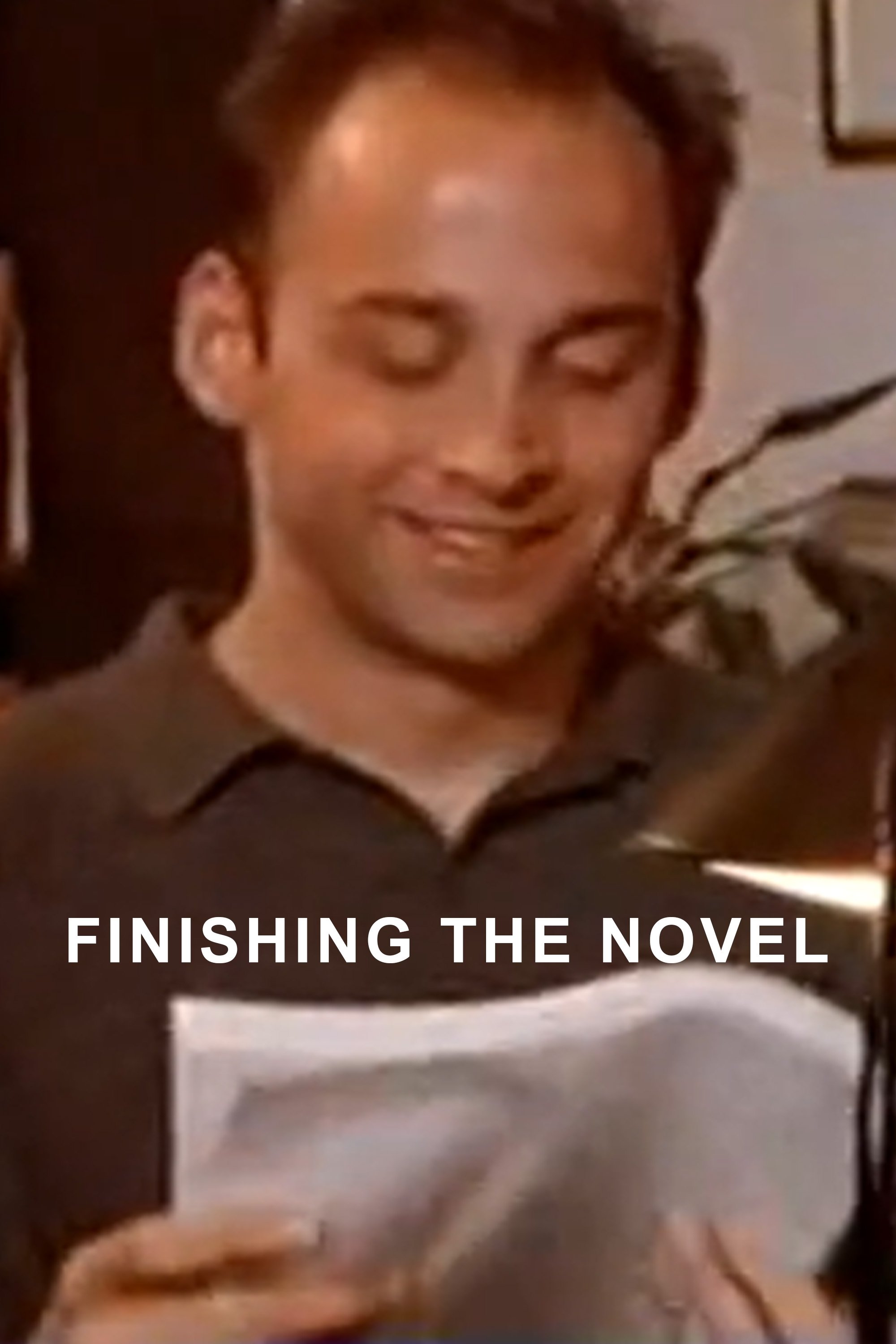 Постер Finishing The Novel